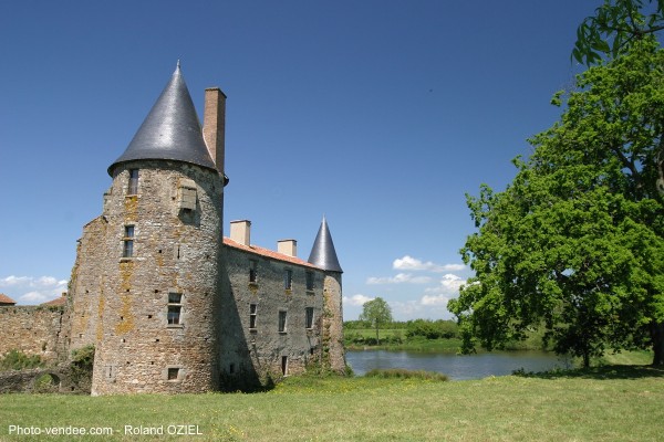 Chateau de la Greve en Vendée saint martin des noyers