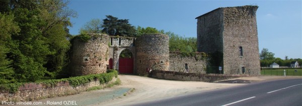 Chateau des Essarts en Vendée