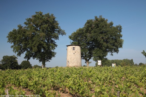 Le Moulin des Bois à Sainte Cécile