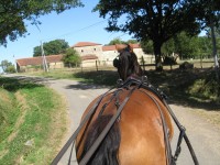 Accueil cavaliers et chevaux